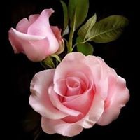 Rosa Valles Photo 7