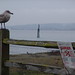 Miriam Keen Photo 19