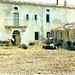 Pasquale Palumbo Photo 35