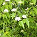 Kathy Chance Photo 29
