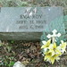 Roy Burke Photo 34