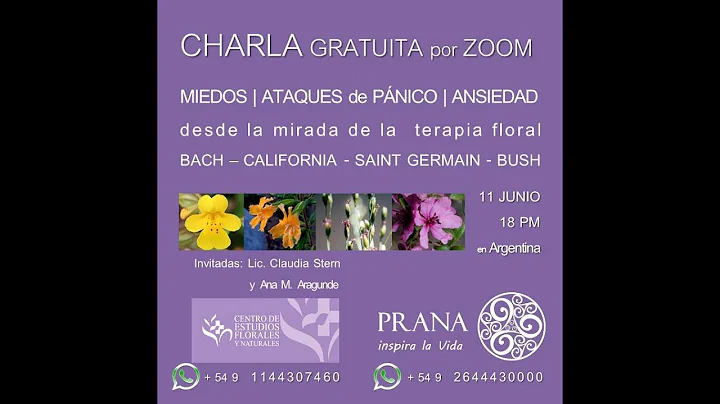 Claudia Stern Photo 24