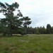 Christopher Heide Photo 19