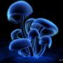 Mark Denney Photo 29