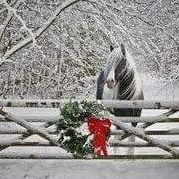 Sharon Tubbs Photo 4