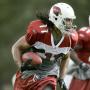 Larry Fitzgerald Photo 28