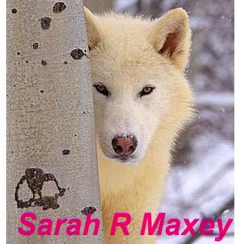 Sarah Maxey Photo 12