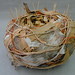 Elizabeth Peach Photo 20