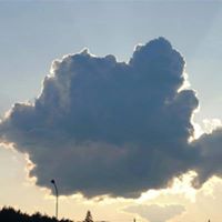 Robert Dengel Photo 2