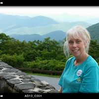 Kathy Mills Photo 5