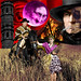 Stephen Dark Photo 23