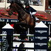 Daniel Pellegrin Photo 25