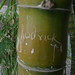 Rodrick Green Photo 27