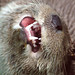 Robert Otter Photo 22