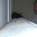 Scott Miles Photo 46