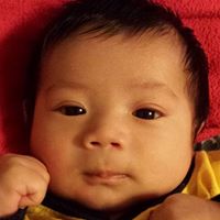 Nhu Dinh Photo 6