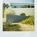 William Palm Photo 25
