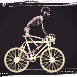 Paul Waddell Photo 12