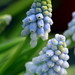 David Harkins Photo 39