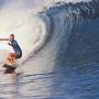 Peter Neely Photo 16