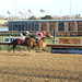 Brandon Meier Photo 29