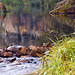 Larry Earles Photo 15