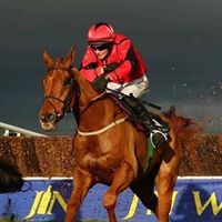 Steven Wylie Photo 7