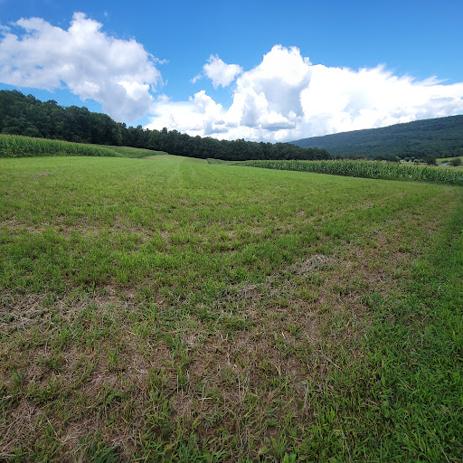 Michael Hockenberry Photo 9