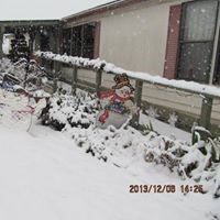 Wanda Middleton Photo 7