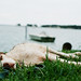Daniel Strobel Photo 35