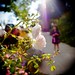 Elena Sharp Photo 16