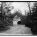 Helen Miller Photo 40
