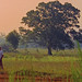 Charles Blagg Photo 21