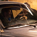 Stephen Biggs Photo 32