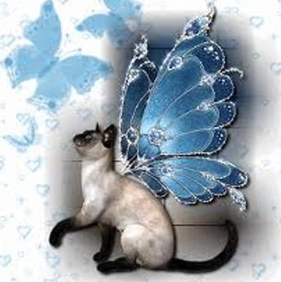 Sharon Halliday Photo 14