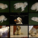 Grace Burrows Photo 15