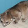 Donnie Thacker Photo 23