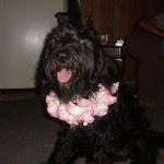 Elmer Powers Photo 1