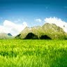 Huong Cao Photo 14