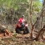 Patricia Richey Photo 27