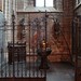 Elizabeth Guido Photo 22