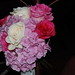 Ivory Hawkins Photo 21