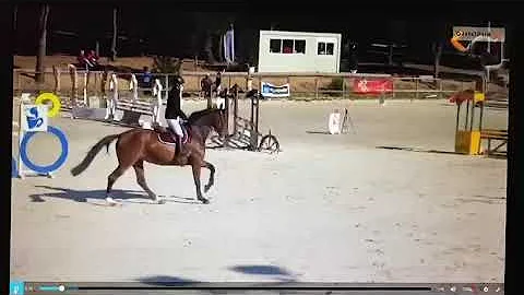 Beverly Lavallee Photo 11