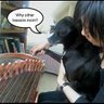 Alice Tong Photo 12