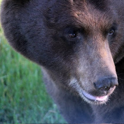 Eric Clausen Photo 10