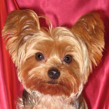 Buster Brown Photo 15
