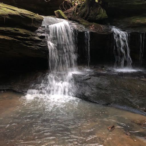 Mark Longworth Photo 12