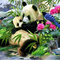 Mei Shao Photo 6