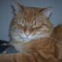 Filomena Santos Photo 24