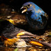 Greg Bunting Photo 27